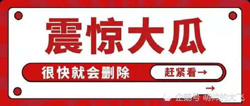 娱乐吃瓜免费入口网站,免费娱乐吃瓜网站入口，带你畅游网络娱乐世界
